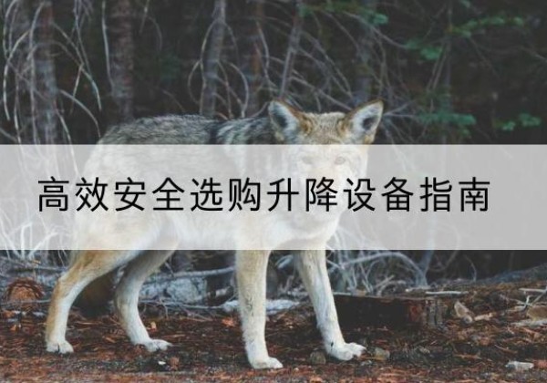 桂平升降货梯厂家推荐-*安全选购升降设备指南