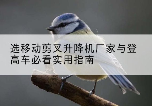 桂平电动升降机厂家-选移动剪叉升降机厂家与登高车必看实用指南