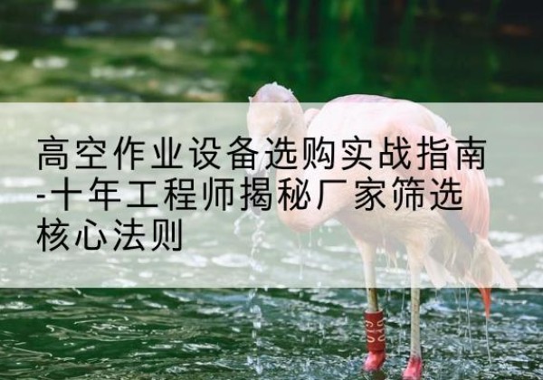 桂平剪叉式升降机厂家-高空作业设备选购实战指南-十年工程师揭秘厂家筛选核心法则
